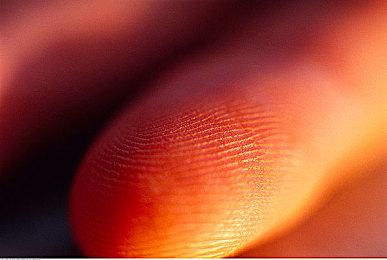 画面升级！《吃豆人：吃遍世界》公布开场动画影片